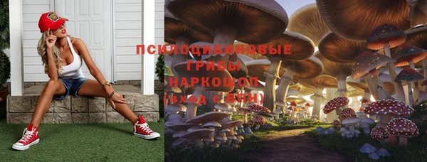 гидра Алексеевка