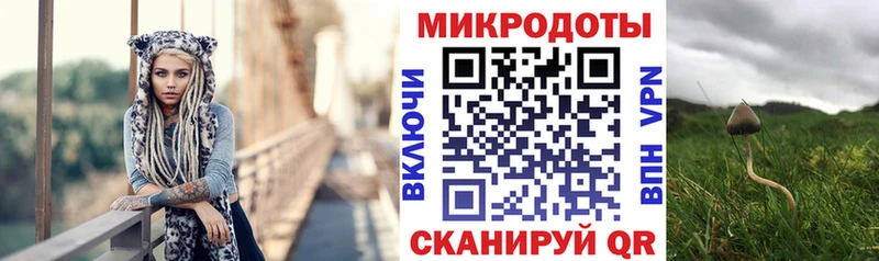 купить  цена  Разумное  Галлюциногенные грибы мицелий 